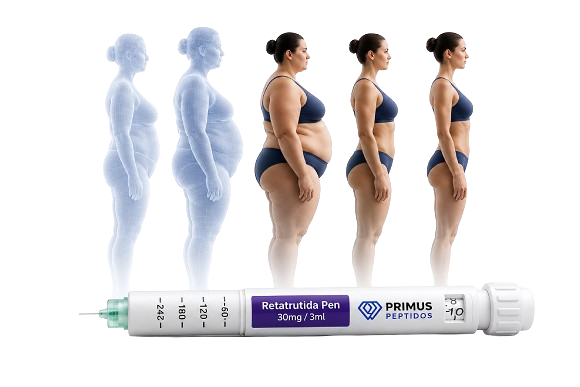 Retatrutida transformación
